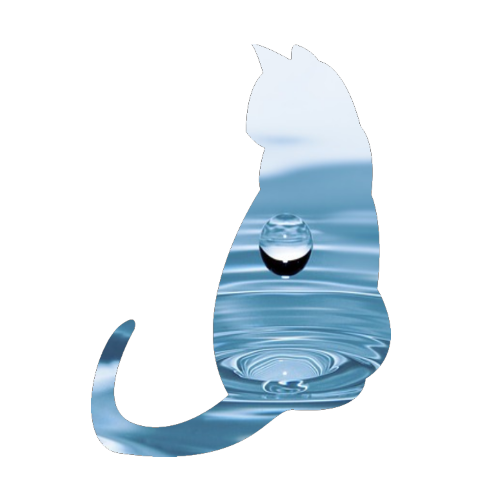 Read more about the article Welchen Wasserbedarf hat die Katze?