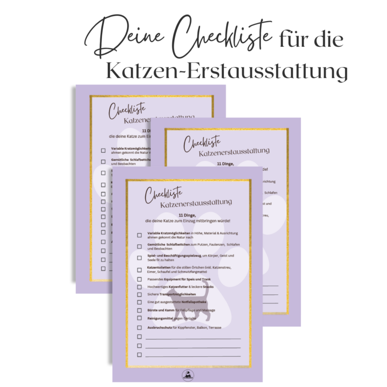 Mockup Checkliste Erstausstattung