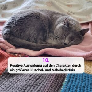 Katzen-Kosmos Kastration Grund 10