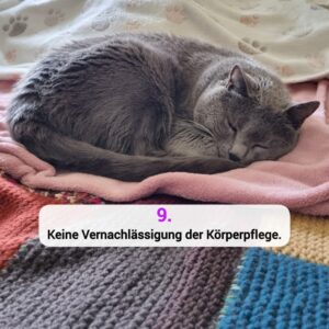 Katzen-Kosmos Kastration Grund 9