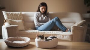 Mehr über den Artikel erfahren Trauert meine Katze?