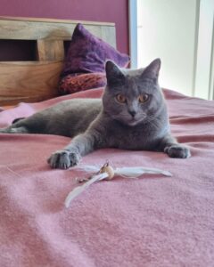 Elli im Spielmodus abwartend