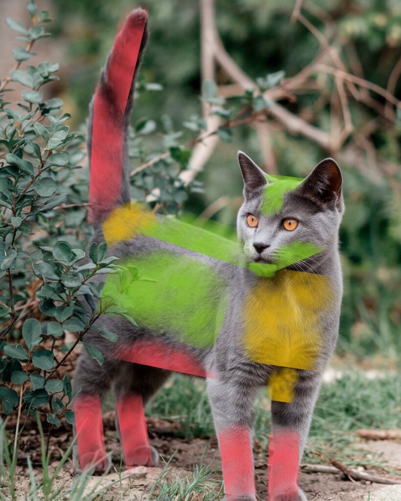 Auf einem Katzenkörper sind die Streichelzonen in grün, gelb und rot eingezeichnet