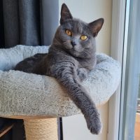 Umi total entspannt und neugierig in die Kamera schauend